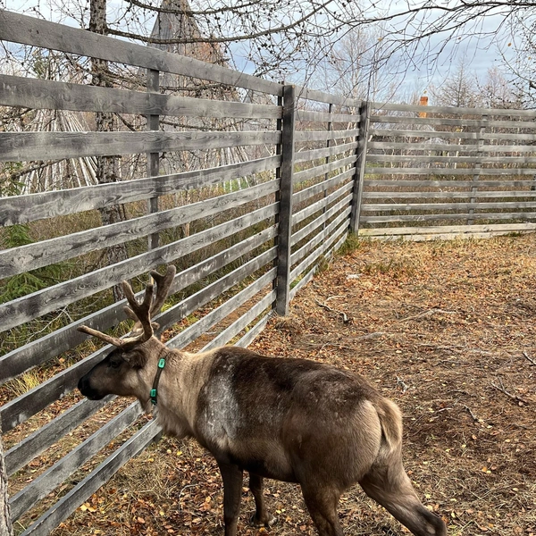 Источник: героиня материала