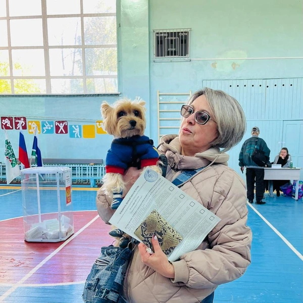 Источник: ЦОН Свердловской области