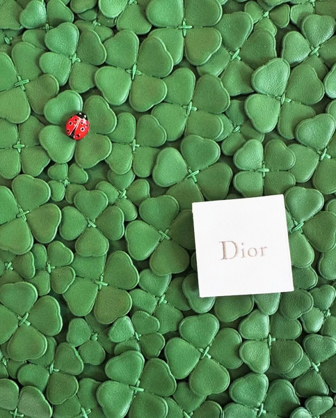 Источник: Dior