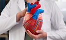 Сердце одно, проблем много: как холестерин влияет на сосуды, и можно ли регулировать его уровень