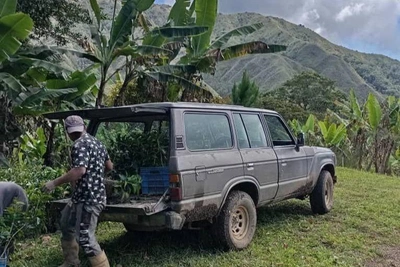 Russian Cocoa Grower in Venezuela on Chocolate Market Shifts