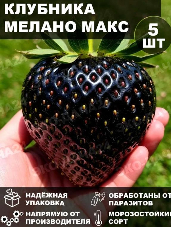 На вид вес клубники — не менее килограмма | Источник: Wildberries