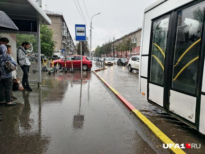 Дожди не прекратятся | Источник: Булат Салихов / UFA1.RU