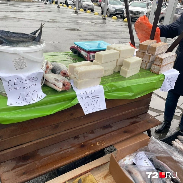 Источник: Радик Енчу / 72.RU