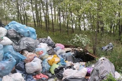 Новосибирец показал свалку в Чемском бору