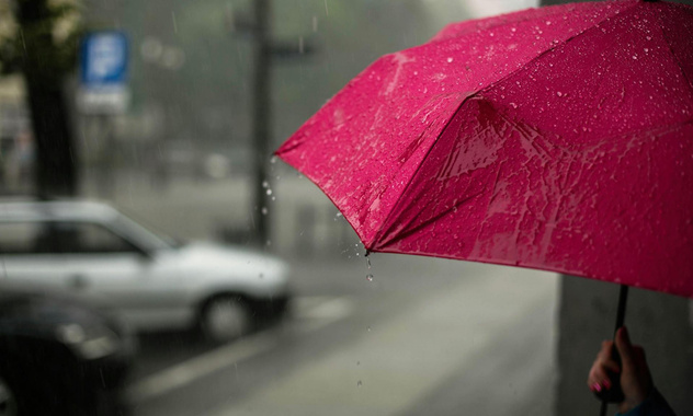 У природы нет плохой погоды: дождь делает нас счастливее — и этому есть научное объяснение