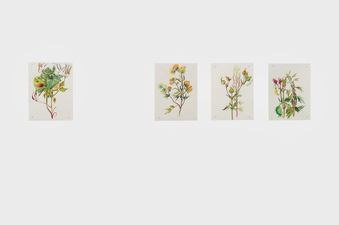 Работы Дарьи Неретиной | Источник: пресс-служба выставки