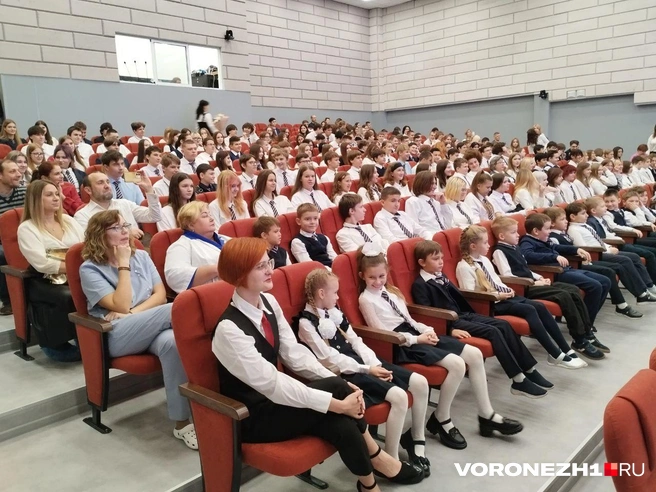 Источник: Дмитрий Волгин / Voronezh1.ru