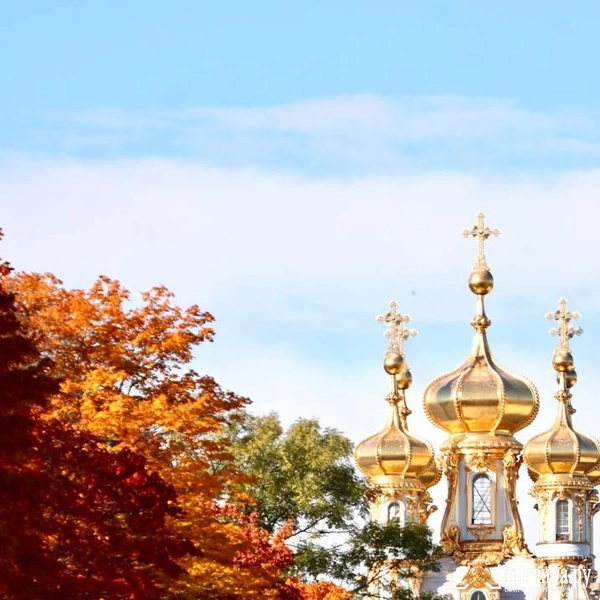 Источник: Лада Шаталова / читательница «Фонтанки»