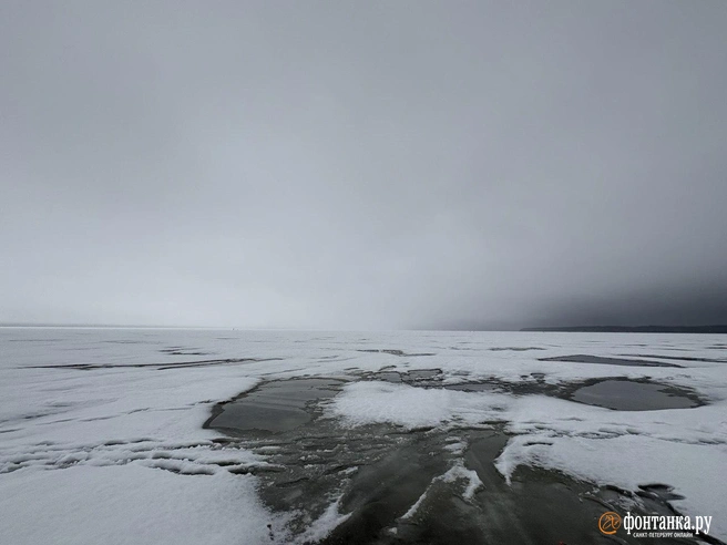 Финский залив в районе Приморска 1 марта 2026 года. После оттепели и дождя лед начал активно таять | Источник: Мария Цыганкова / «Фонтанка.ру»