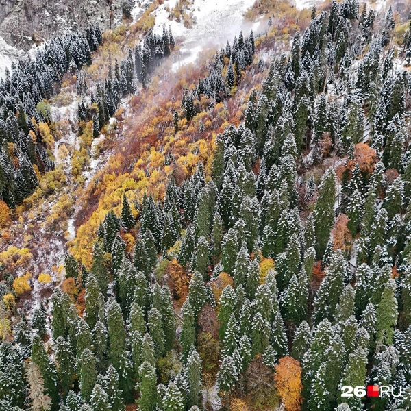 Вид на Домбай с высоты птичьего полета | Источник: Владилен Узденов