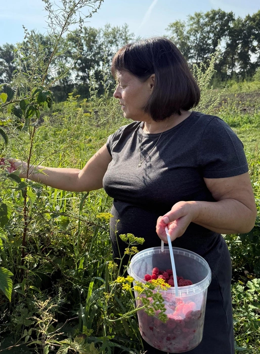 Елена рекомендует есть малину с молоком и сахаром  | Источник: Дарья Староверова / NGS.RU