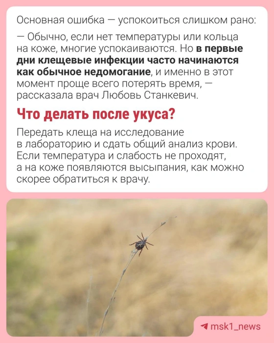 Источник: Городские медиа
