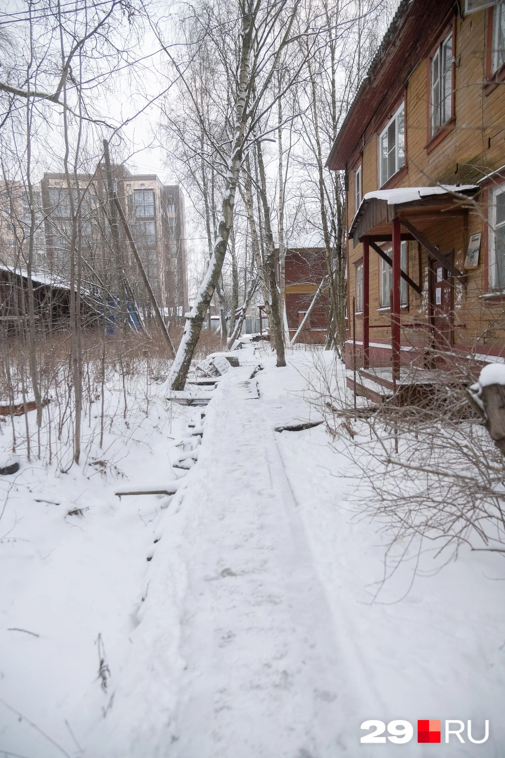 Источник: Иван Митюшёв / 29.RU