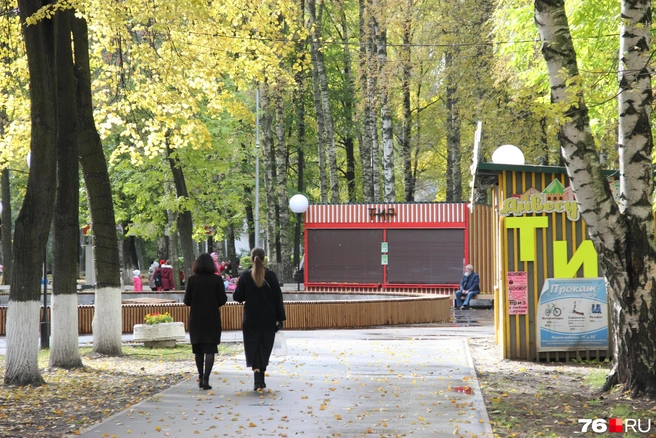 Синоптики обещают рабочую неделю без дождей | Источник: Александра Мамонтова / 76.RU