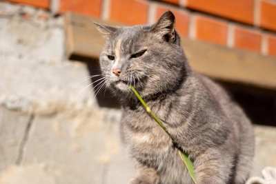 В Приморье потеплеет: детальный прогноз