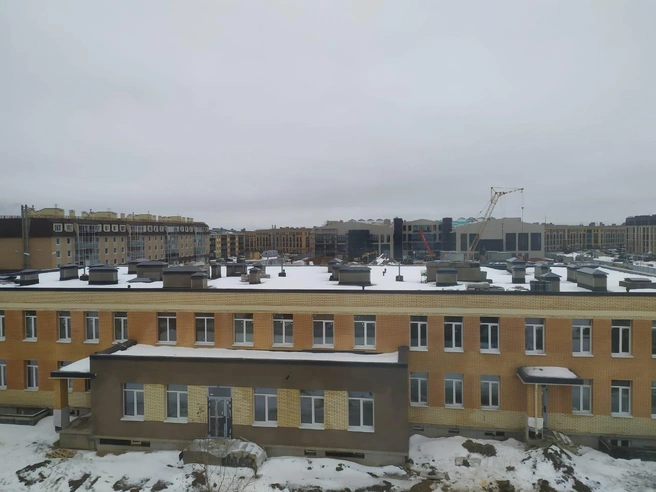 В этом году в Пушкинском районе откроют новый детский сад на 140 детей и школу на 550 учеников | Источник: предоставлено СЗ «Терминал-Ресурс»