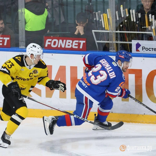 Источник: Сергей Михайличенко / FONTANKA.RU