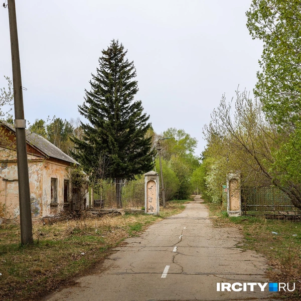 Территория бывшего радиоцентра заброшена и запущена, но она, как считают многие жители поселка, идеально подошла бы под строительство целого образовательного кластера | Источник: Ксения Филимонова / «ИрСити»