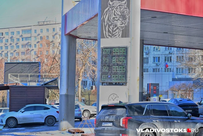 Источник: Елена Буйвол / VLADIVOSTOK1.RU