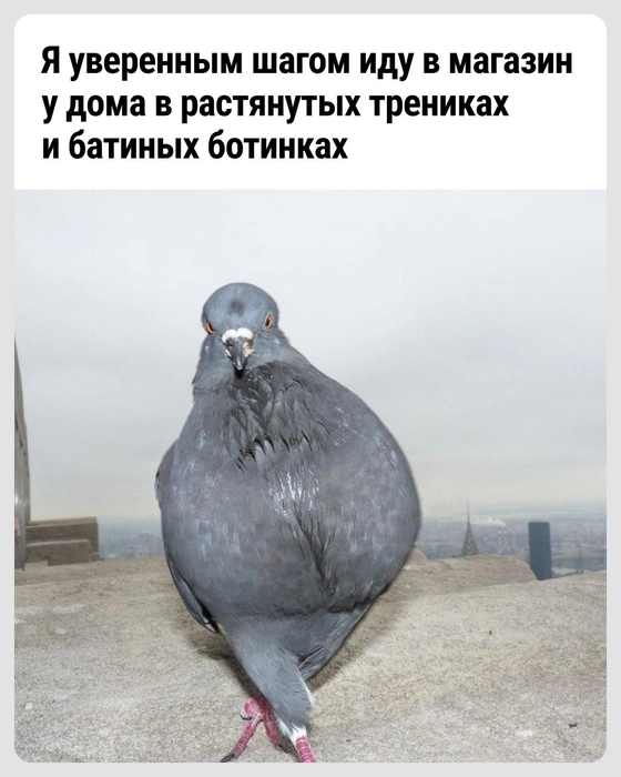 Показ мод открыт | Источник: Городские медиа