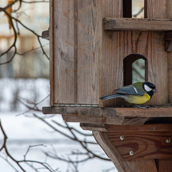 Источник: ГМЗ «Царское Село»
