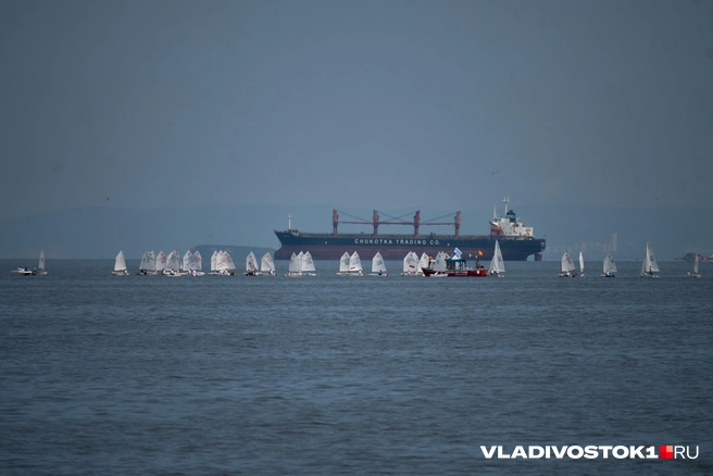 Источник: Елена Буйвол / VLADIVOSTOK1.RU