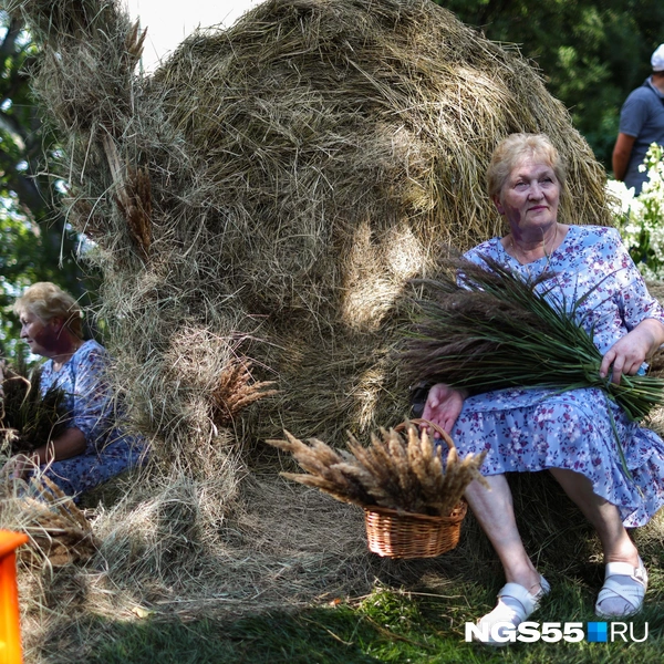 Красивая фотография останется на память | Источник: Евгений Софийчук / NGS55.RU