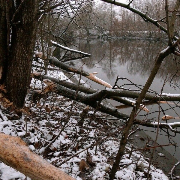 Источник: Павел Глазков / Каждой твари по паре