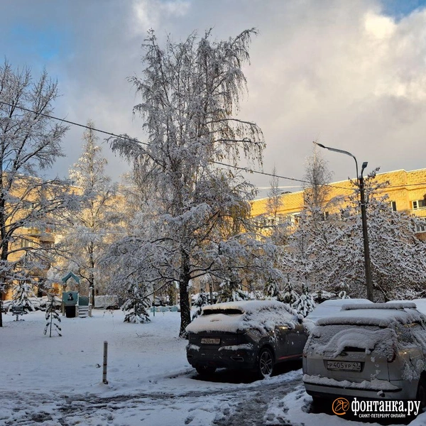 Источник: читатель «Фонтанки»