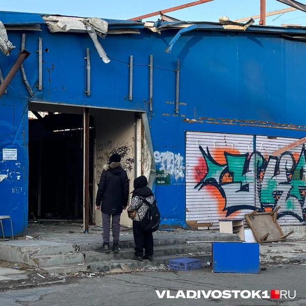 Источник: Елена Буйвол / VLADIVOSTOK1.RU