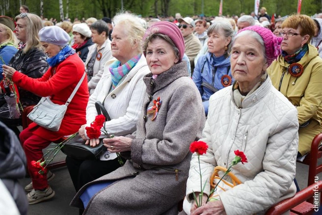 Источник: st.cherinfo.ru