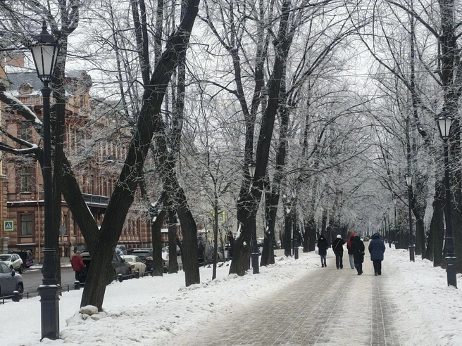 Изморозь появилась в Петербурге после туманной ночи | Источник: Алина Циопа / «Фонтанка.ру»