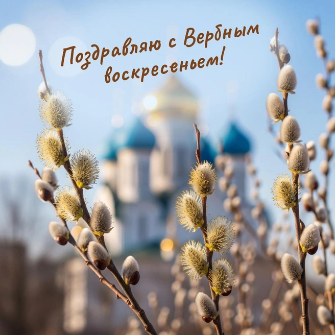 Источник: Городские медиа