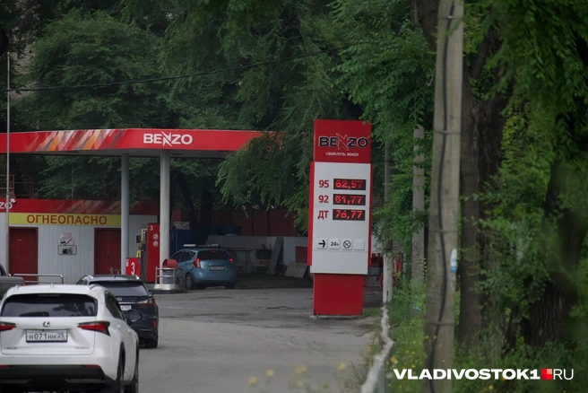 Источник: Елена Буйвол / VLADIVOSTOK1.RU