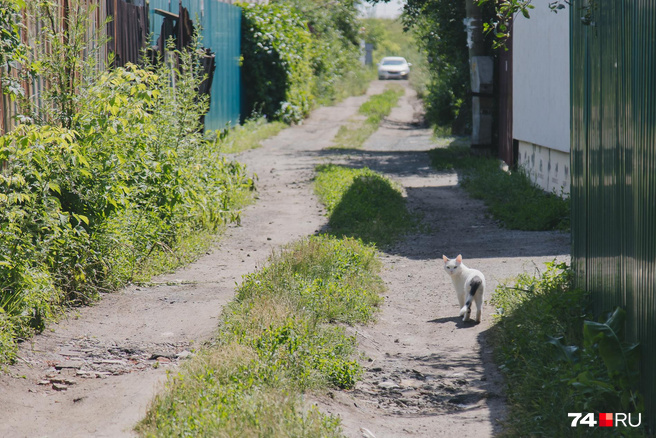 Купить Сад В Челябинске Тракторосад 3 Чурилово