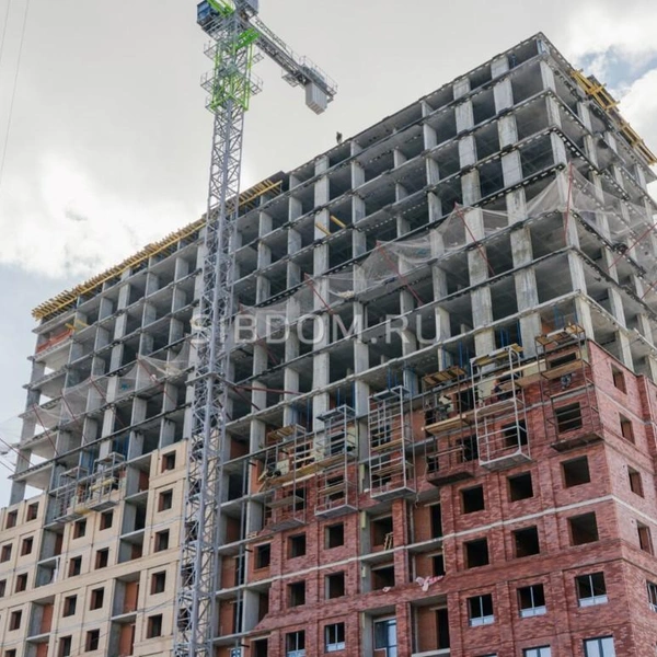 Источник: kemerovo.sibdom.ru
