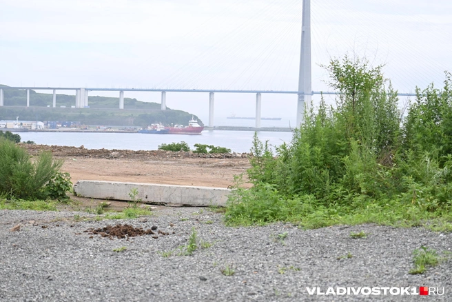 Источник: Елена Буйвол / VLADIVOSTOK1.RU