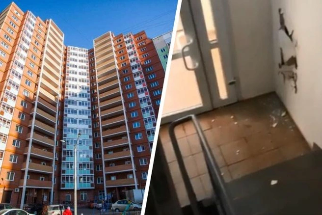 Всё произошло чуть больше недели назад | Источник: pokrovka_life124 / instagram.com, N1.RU