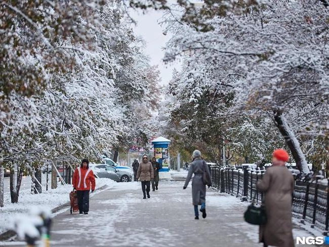 Ночью в Новосибирске минимальная температура ожидается на уровне -4 градуса | nsk54.online