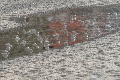 Резкое похолодание и дожди ожидаются на Кубани