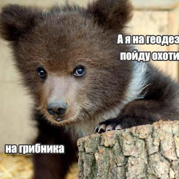 Источник: Соцсети