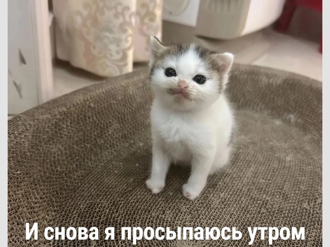Чувствовали себя когда-нибудь как этот малыш? | Источник: Городские медиа
