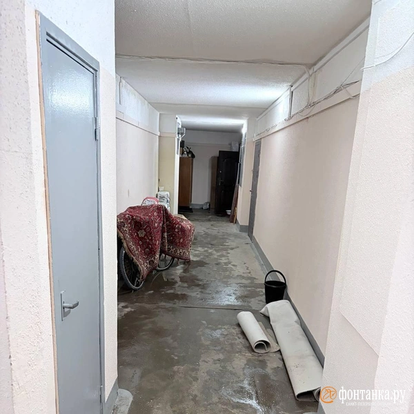 «Локальный коммунальный хоррор». В доме на севере Петербурга лопнул гидрант и все затопил | Источник: читатель «Фонтанки» Владимир