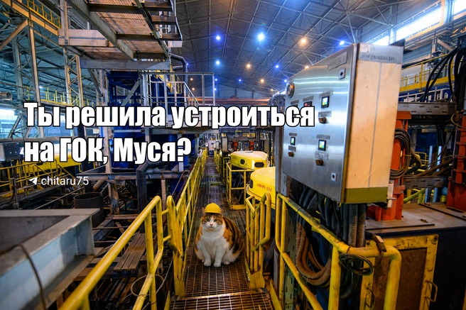 Источник: Вячеслав Палкин