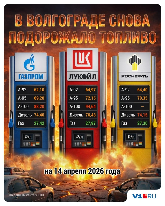 Наглядное сравнение, где топливо самое дешевое | Источник: Полина Авдошина / V1.RU