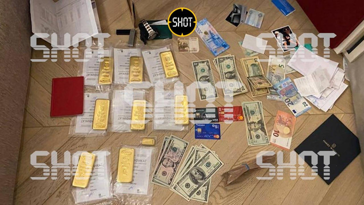 Слитки золота и десятки паспортов: следователи были удивлены тем, что нашли при обыске у Лерчека