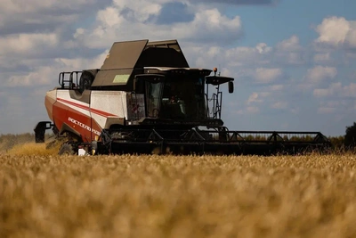 Омские аграрии убирают урожай прошлого года