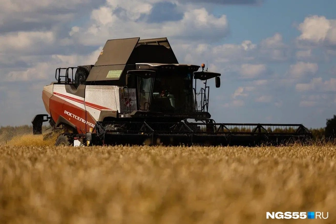2025-й стал для сельского хозяйства одним из самых сложных за всю историю | Источник: Евгений Софийчук / NGS55.RU