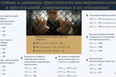 Митянина: детская преступность выросла на 45%